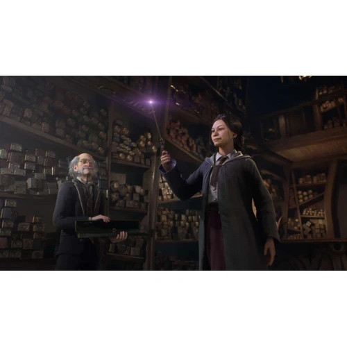 فلش 128 گیگ با بازی Hogwarts Legacy Deluxe Edition