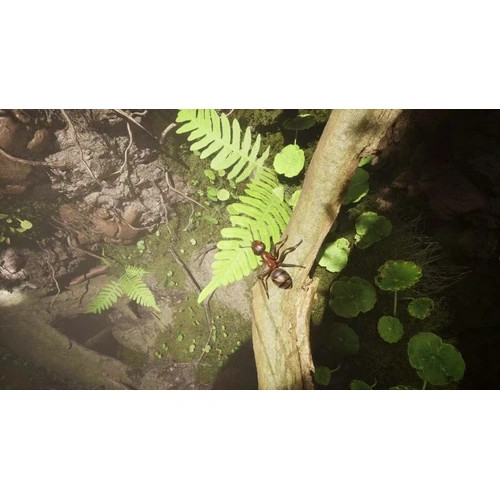 بازی Empire of the Ants برای کامپیوتر