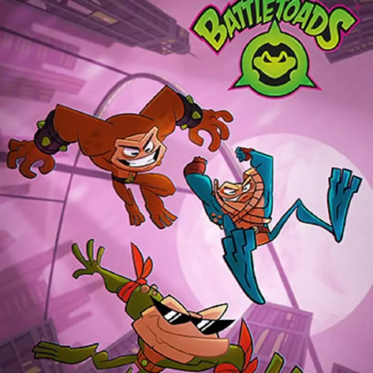 بازی کامپیوتری Battletoads