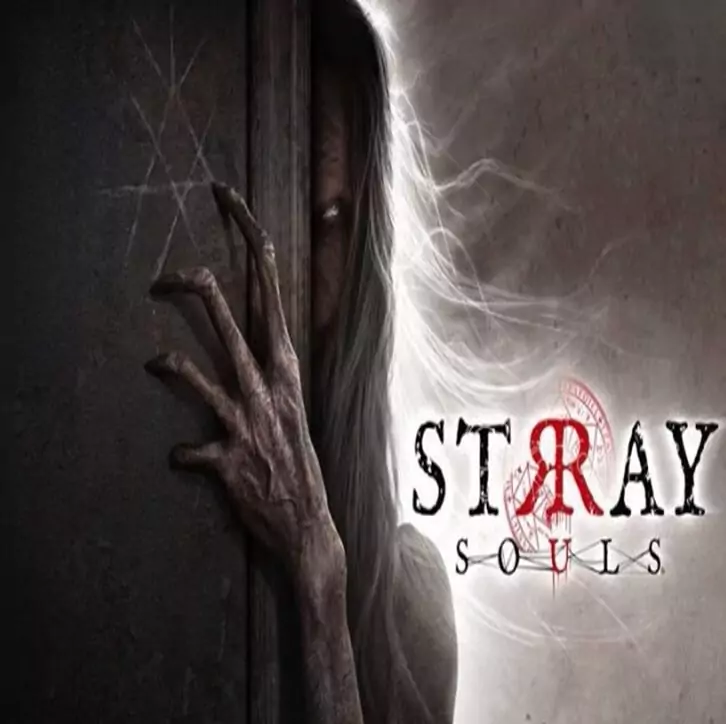 بازی کامپیوتری Stray Souls