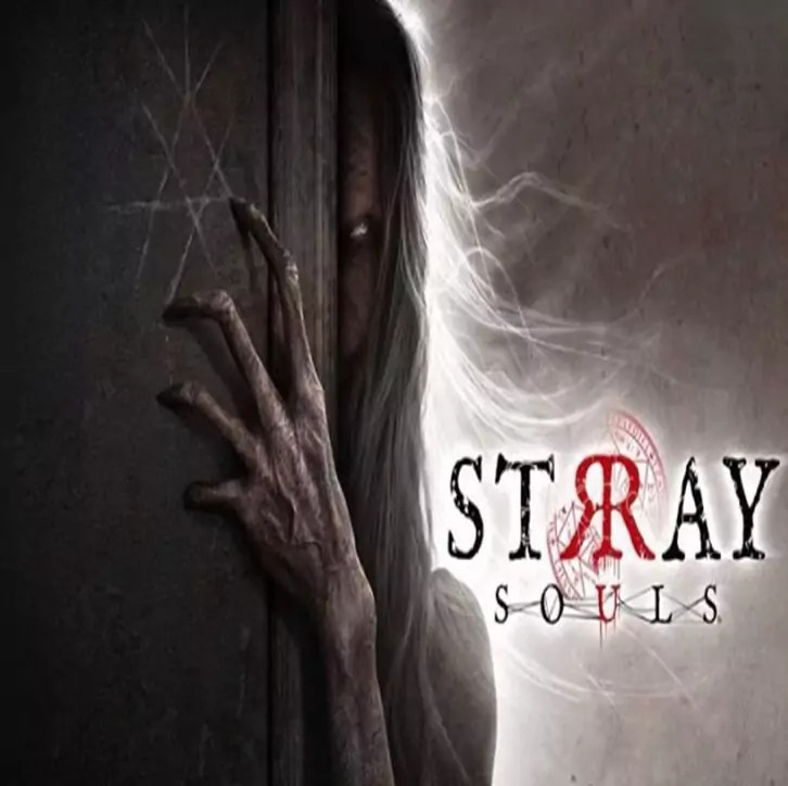 بازی کامپیوتری Stray Souls