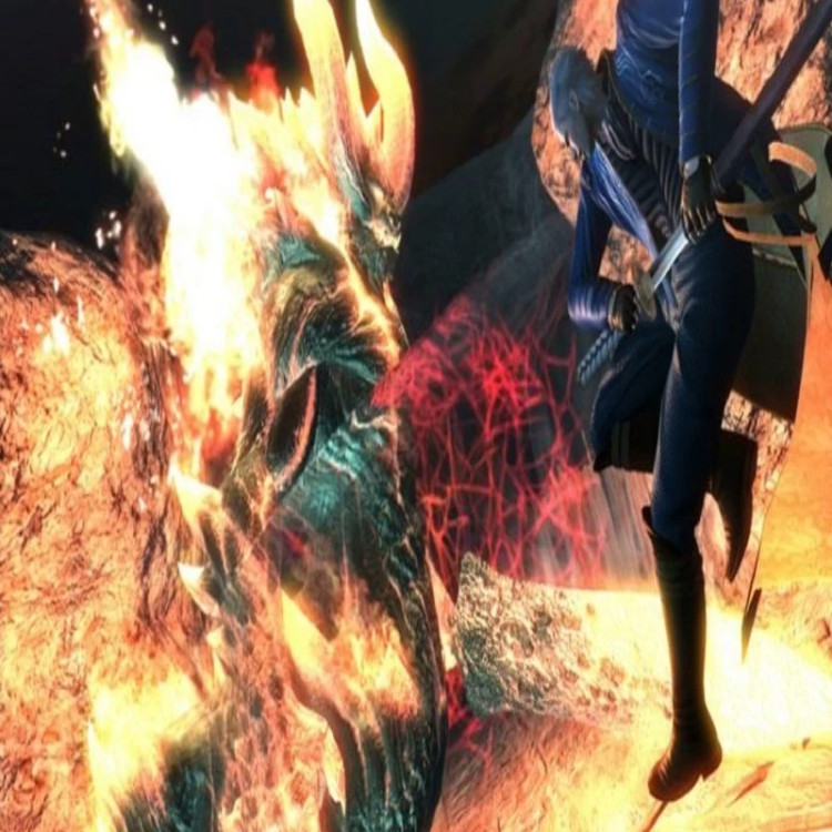 بازی کامپیوتری Devil May Cry 4 Special Edition