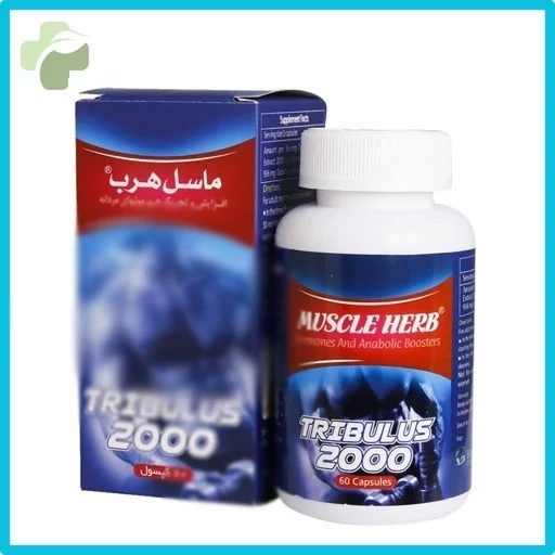 مکمل گیاهی ماسل هرب تریبلوس مناسب فعالیت ورزشی 60 عدد