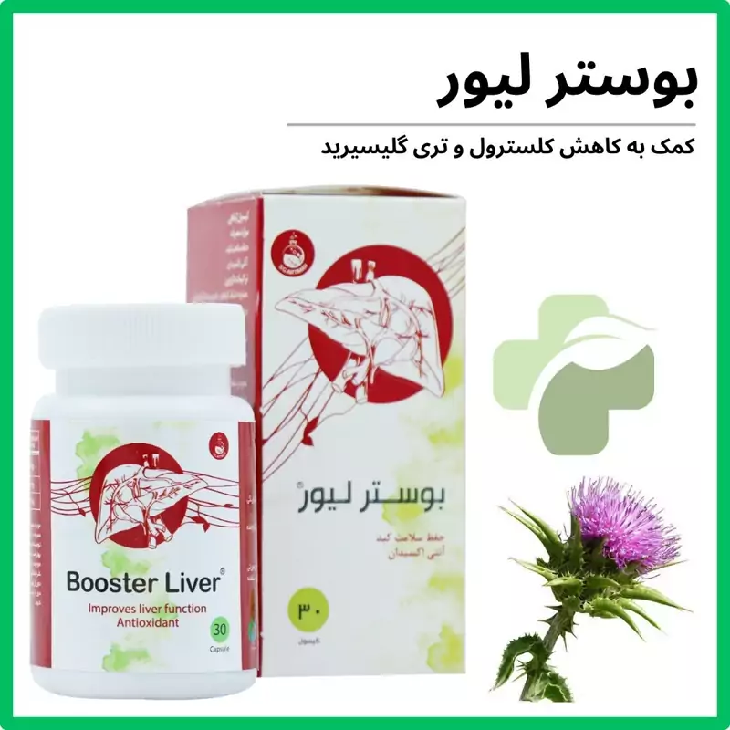 بوستر لیور سلامت گستر آرتیمان 30 عدد