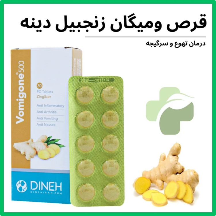 ومیگان زنجبیل شرکت دینه