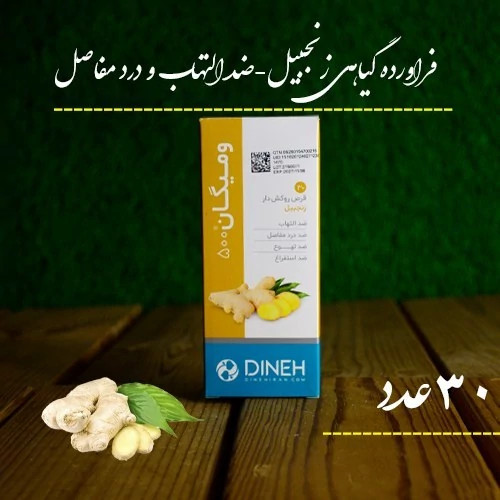 ومیگان زنجبیل شرکت دینه