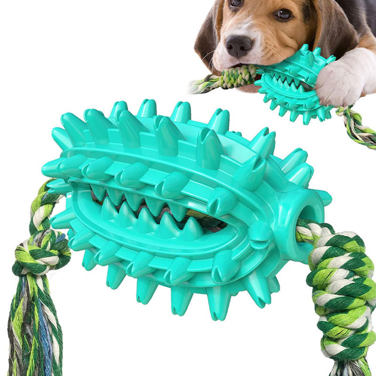 اسباب بازی سگ مدل Cactus Molar Chew Toy دندانی