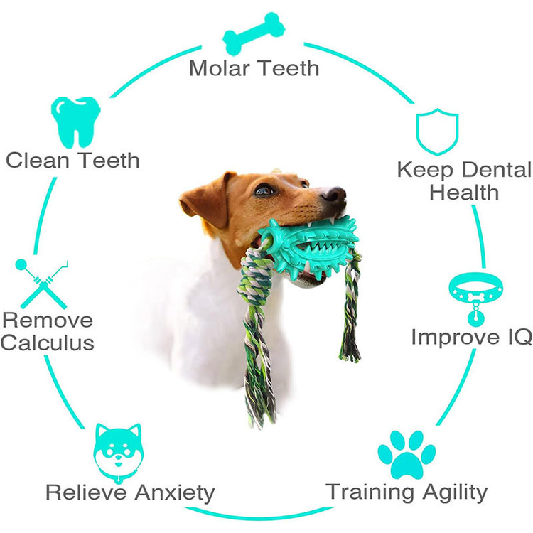 اسباب بازی سگ مدل Cactus Molar Chew Toy دندانی