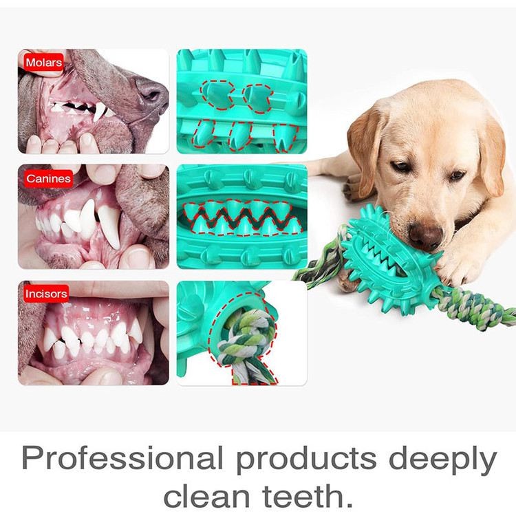 اسباب بازی سگ مدل Cactus Molar Chew Toy دندانی