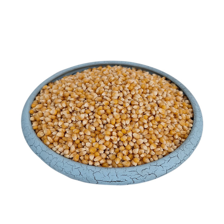 ذرت پفیلا درجه یک - 1000 گرم