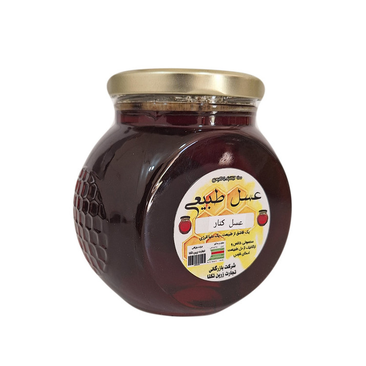 عسل طبیعی کنار - 450 گرم