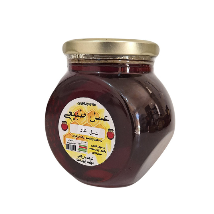 عسل طبیعی کنار - 450 گرم