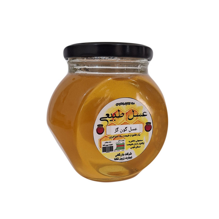 عسل طبیعی گون گز درجه یک - 900 گرم
