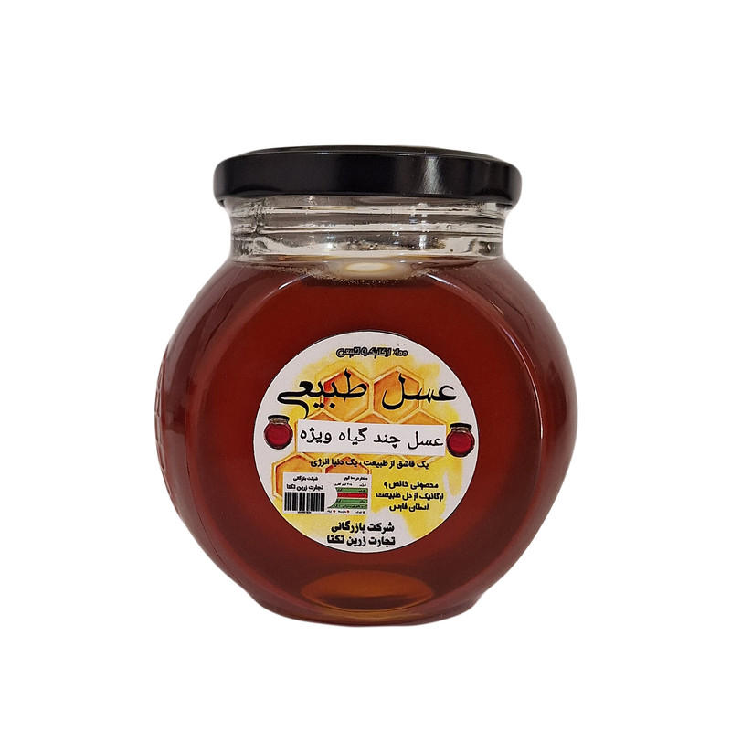 عسل طبیعی چند گیاه ویژه - 450 گرم