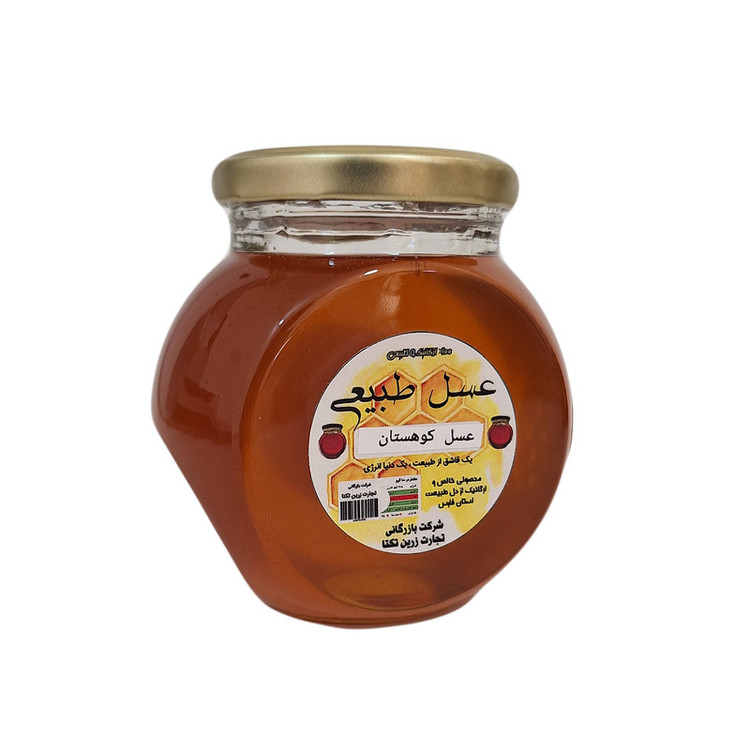 عسل طبیعی کوهستان - 900 گرم