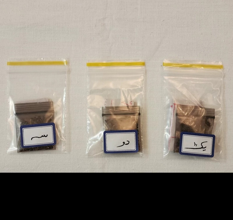 بخور حافظیان (اصل)