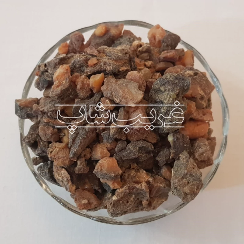 فاسوخ مغربی سیاه (فاسوخ اسود بسیار نایاب)