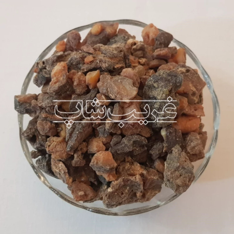 فاسوخ مغربی سیاه (فاسوخ اسود بسیار نایاب)