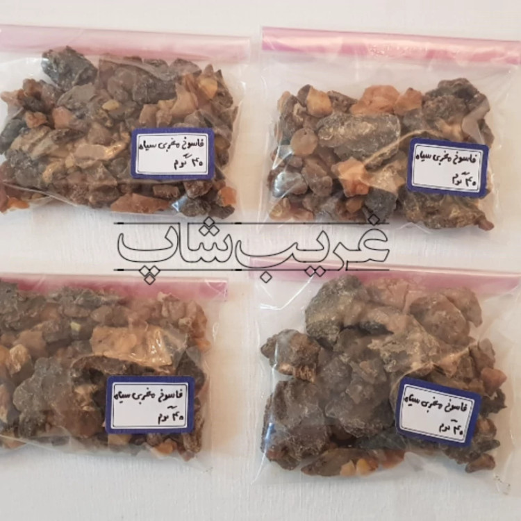 فاسوخ مغربی سیاه (فاسوخ اسود بسیار نایاب)