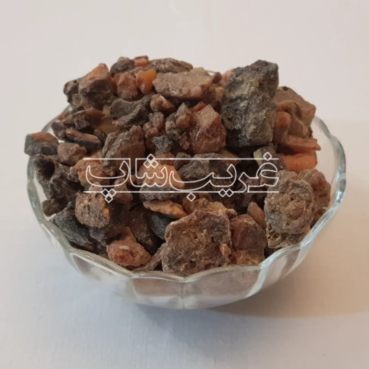 فاسوخ مغربی سیاه (فاسوخ اسود بسیار نایاب)