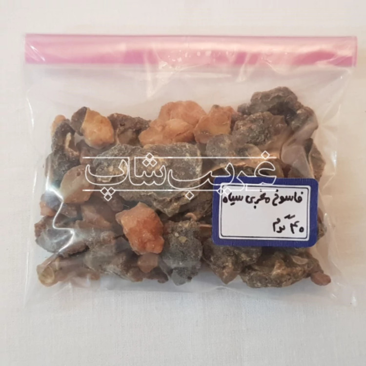 فاسوخ مغربی سیاه (فاسوخ اسود بسیار نایاب)