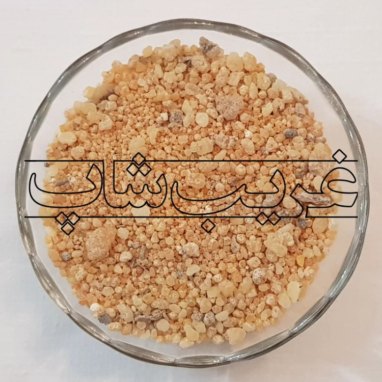 مصطکی (علک رومی)