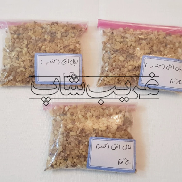 لبان انثی (لبان ماده) اصل