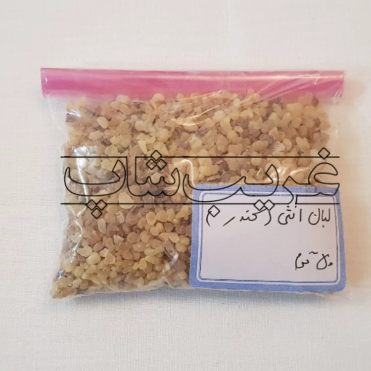 لبان انثی (لبان ماده) اصل