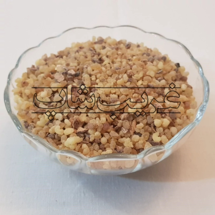 لبان انثی (لبان ماده) اصل