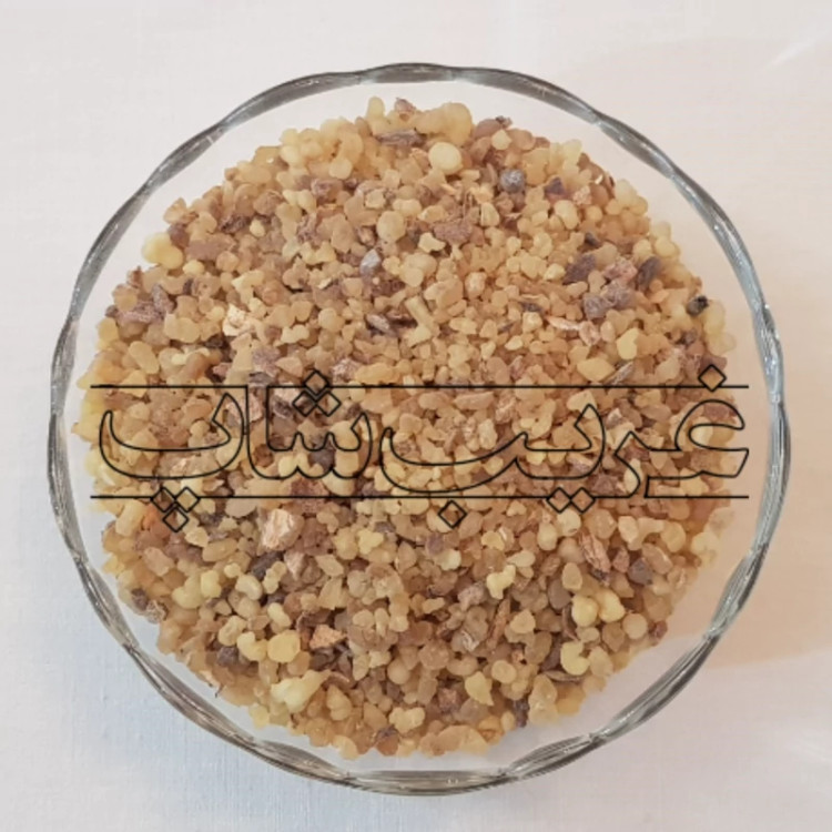 لبان انثی (لبان ماده) اصل
