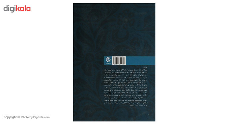 کتاب پیدای پنهان اثر ایرج شهبازی