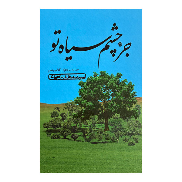کتاب جز چشم سياه تو اثر سيد مهدي شجاعي نشر نيستان