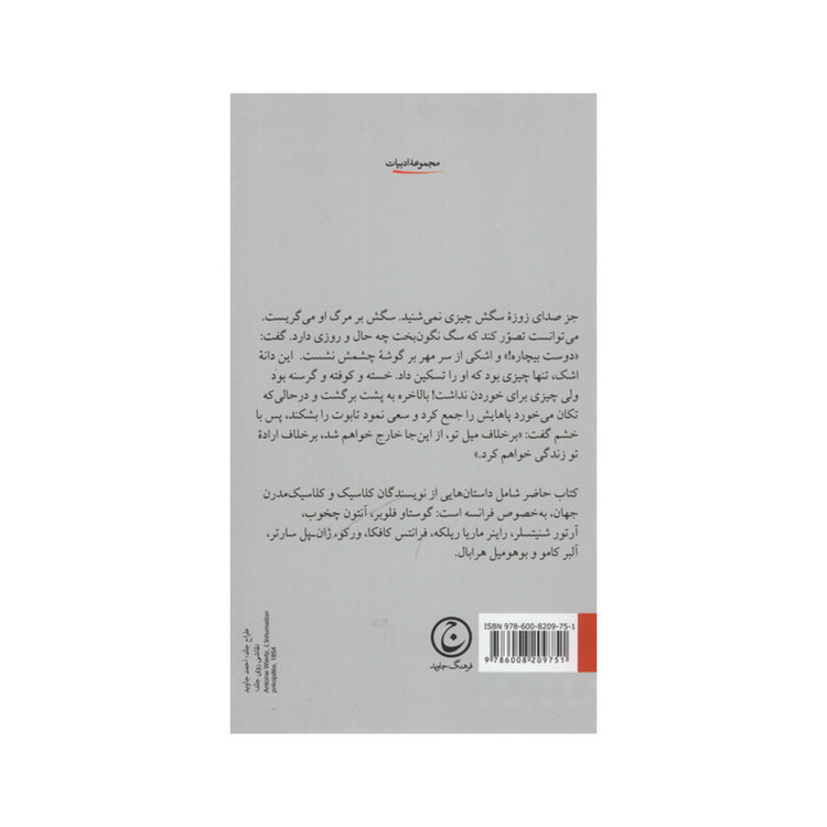 کتاب خشم و ناتوانی اثر گوستاو فلوبر و راینر ماریا ریلکه انتشارات فرهنگ جاوید