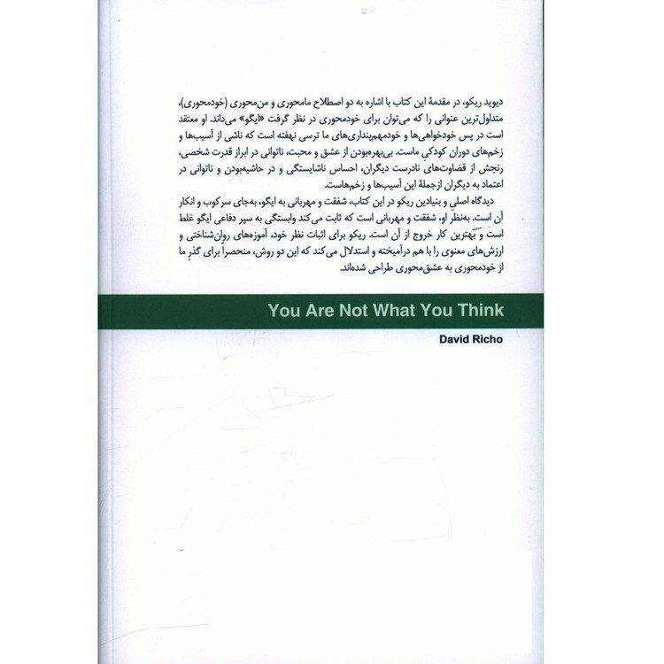 کتاب تو آنچه می پنداری نیستی اثر دیوید ریکو نشر سایه سخن
