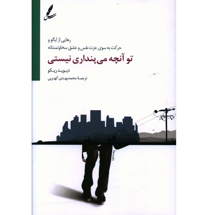 کتاب تو آنچه می پنداری نیستی اثر دیوید ریکو نشر سایه سخن