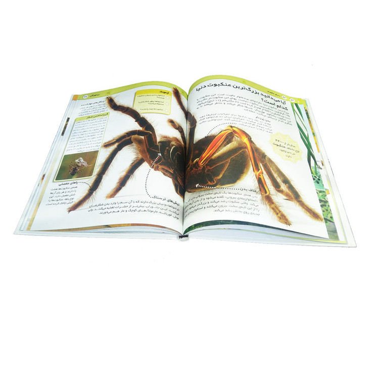 کتاب آیا میدانید اثر جمعی از نویسندگان انتشارات کمال اندیشه