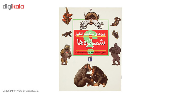 کتاب چراهای شگفت انگیز اثر کمیلا دو لا بدویر