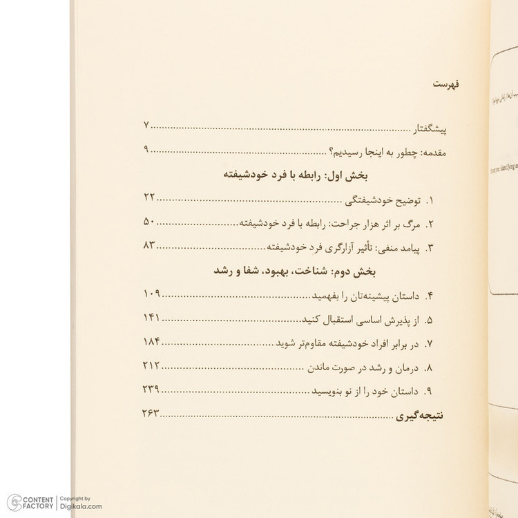 کتاب مقصر تو نیستی اثر رامانی دورواسولا ترجمه مریم مقدم انتشارات کتاب کوله پشتی