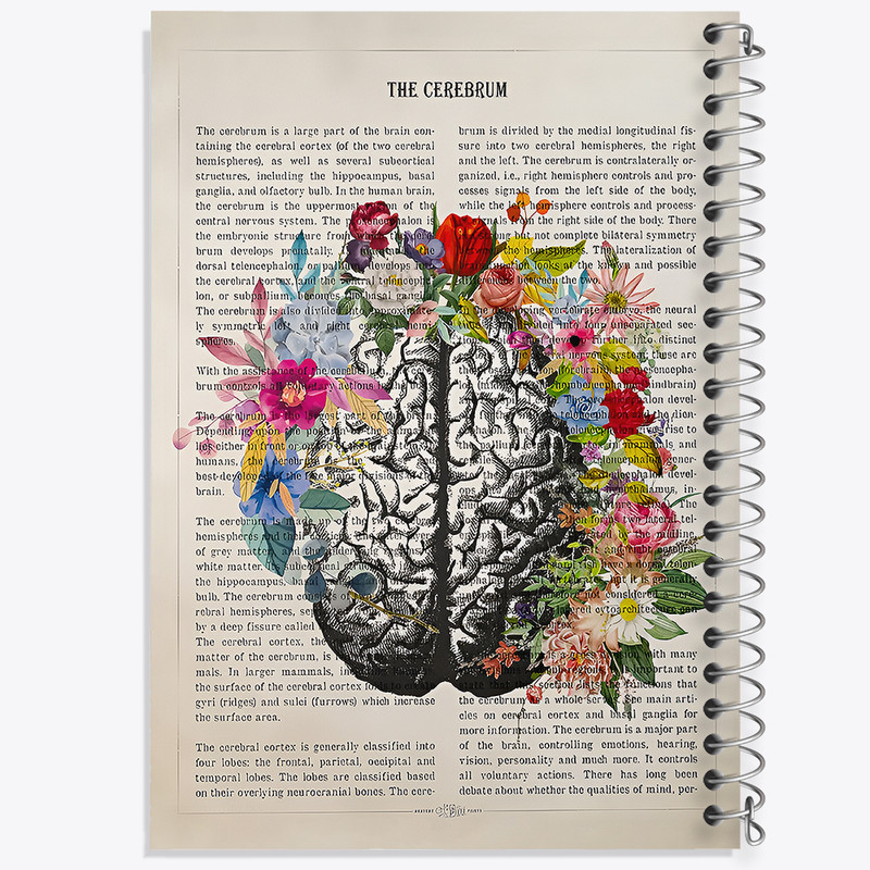 دفتر مشق 100 برگ خندالو طرح مغز (Brain) کد F14045
