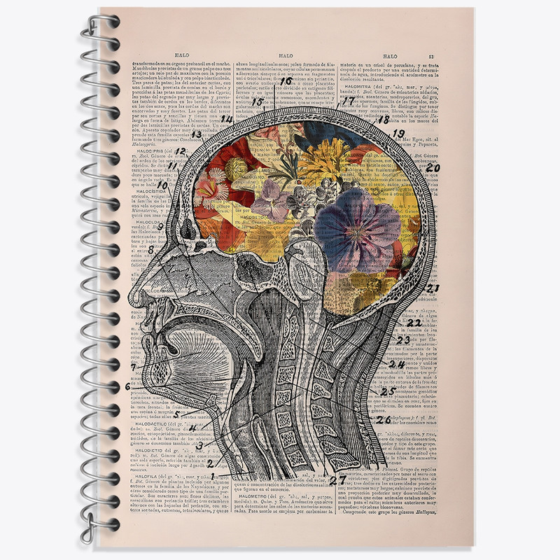 دفتر لغت 50 برگ خندالو طرح آناتومی مغز (Brain Anatomy) کد F14038