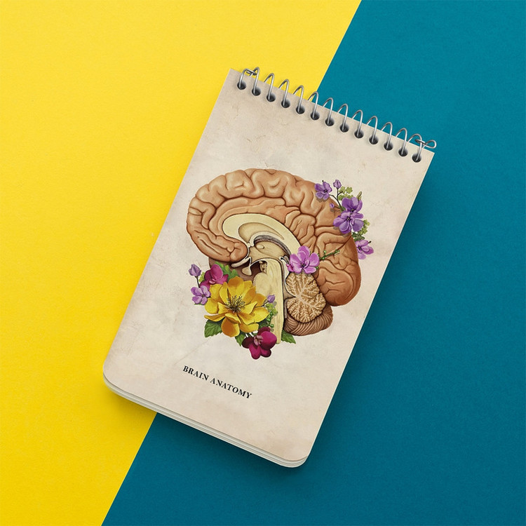 دفتر یادداشت 50 برگ خندالو طرح آناتومی مغز (Brain Anatomy) کد F13970