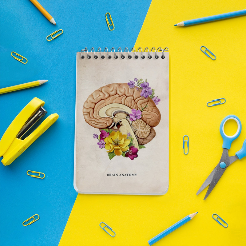 دفتر یادداشت 50 برگ خندالو طرح آناتومی مغز (Brain Anatomy) کد F13970