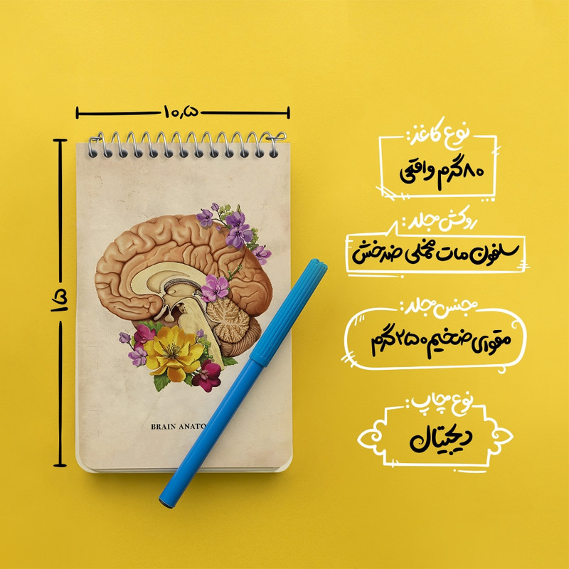 دفتر یادداشت 50 برگ خندالو طرح آناتومی مغز (Brain Anatomy) کد F13970