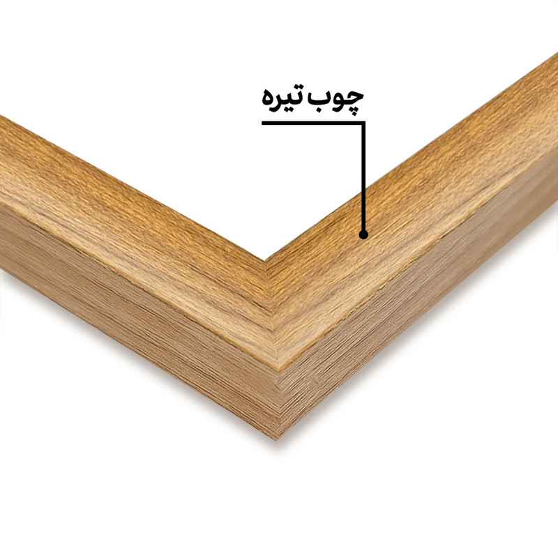 استیکر و تابلو کودک و نوزاد خندالو مدل دندان پزشکی کد F10275