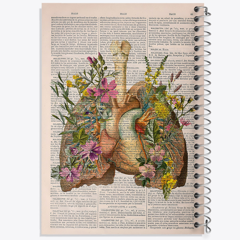 دفتر لیست خرید 50 برگ خندالو طرح آناتومی ریه ها (Lungs Anatomy) کد F14040