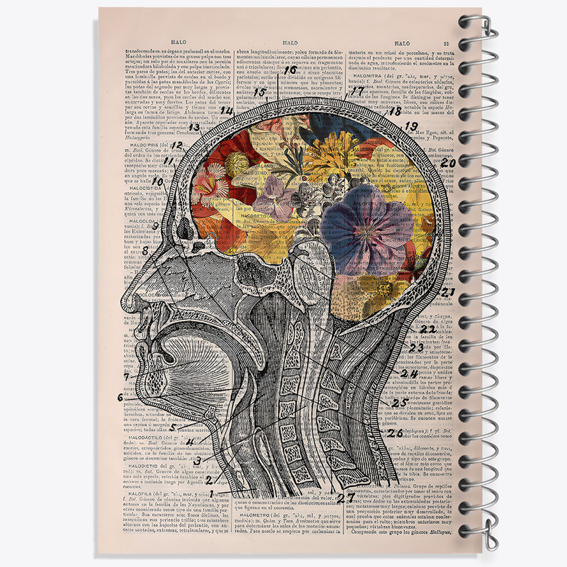 دفتر مشق 50 برگ خندالو طرح آناتومی مغز (Brain Anatomy) کد F14038