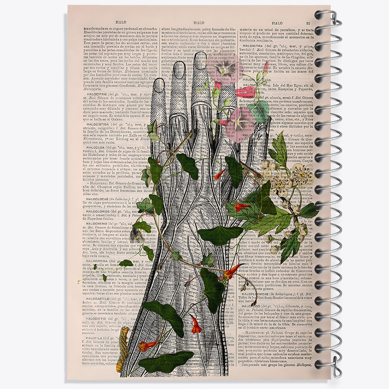 دفتر نقاشی 50 برگ خندالو طرح آناتومی دست (Hand Anatomy) کد F14039