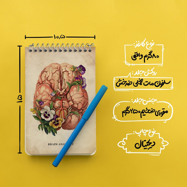 دفتر یادداشت 50 برگ خندالو طرح آناتومی مغز (Brain Anatomy) کد F13976