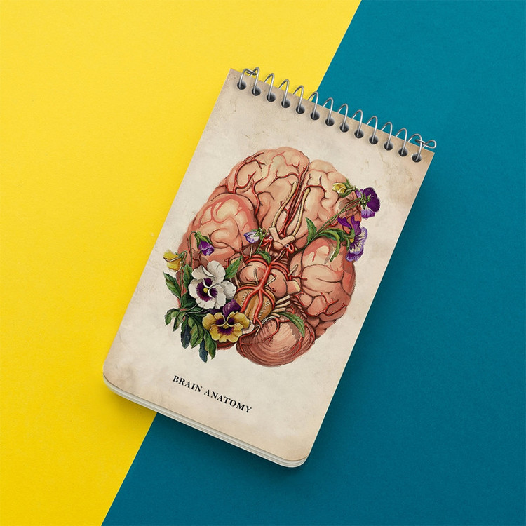 دفتر یادداشت 50 برگ خندالو طرح آناتومی مغز (Brain Anatomy) کد F13976