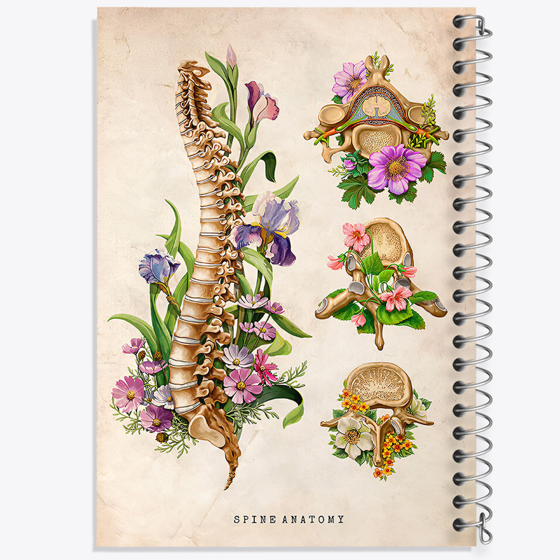 دفتر نقاشی 50 برگ خندالو طرح آناتومی ستون فقرات (Spine Anatomy) کد F13967